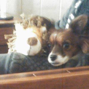 Meet your Posher, Brian